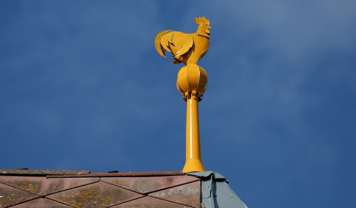 Fotogaléria